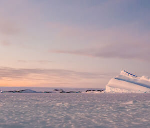 Scenic photo taken from the sea ice looking up to the icy plateau