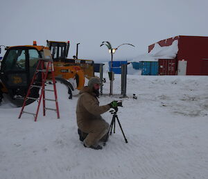 Expeditioner filming the arrival of the fire hagg and the cat up a tree