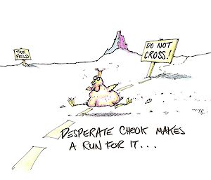 cartoon illustration of a chicken crossing a line