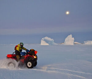 Back wheels of quad bike spinning in thick snow sunset in background