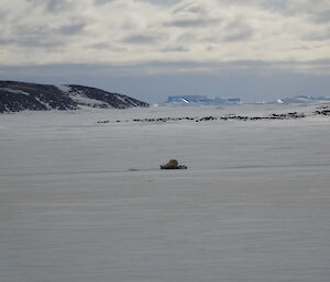 Snow groomer on the sea ice, ice bergs in the background