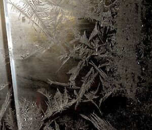 Leaf like patterns of ice crystals on a window