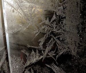 Leaf like patterns of ice crystals on a window