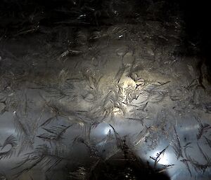 Leaf like patterns of ice crystals on a window