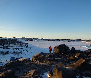 Expeditioner standing on a hill looking down over a fjord