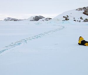 Expeditioner laying on the sea ice approx ten metres from an Adélie penguin