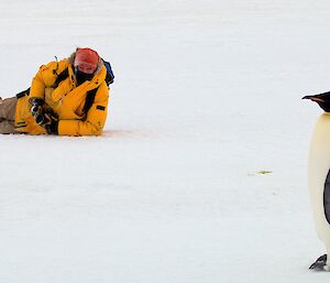 Expeditioner laying on the sea ice with an emperor penguin