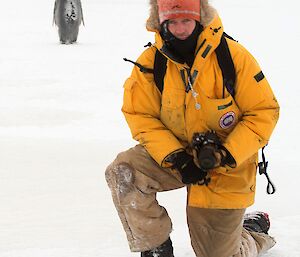 Expeditioner kneeling on the sea ice with an emperor penguin in the background
