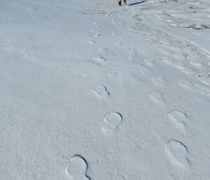 Expeditioner walking over snow down towards a lake