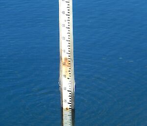 Close up photo of the measuring stick reading 0.65 metres