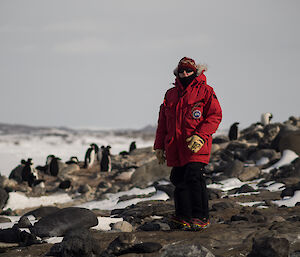 Expeditioner wearing red jacket standing on the outside of a penguin colonly