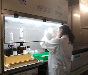 Female scientist in white coat holding a sample up to the light behind the screen of a fume cupboard