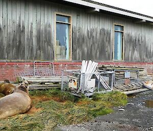 Outside the buildings before the spring clean