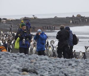 Visitors at Sandy Bay