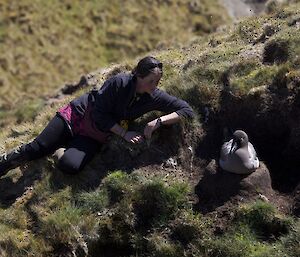 Julia checking a Light-mantled Sooty Albatross