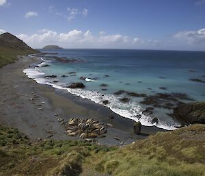 The sunny east coast of Macquarie Island