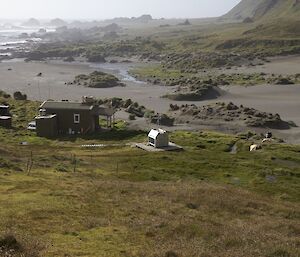 Nancy and her dog Finn return to Bauer Bay hut, on the west coast.