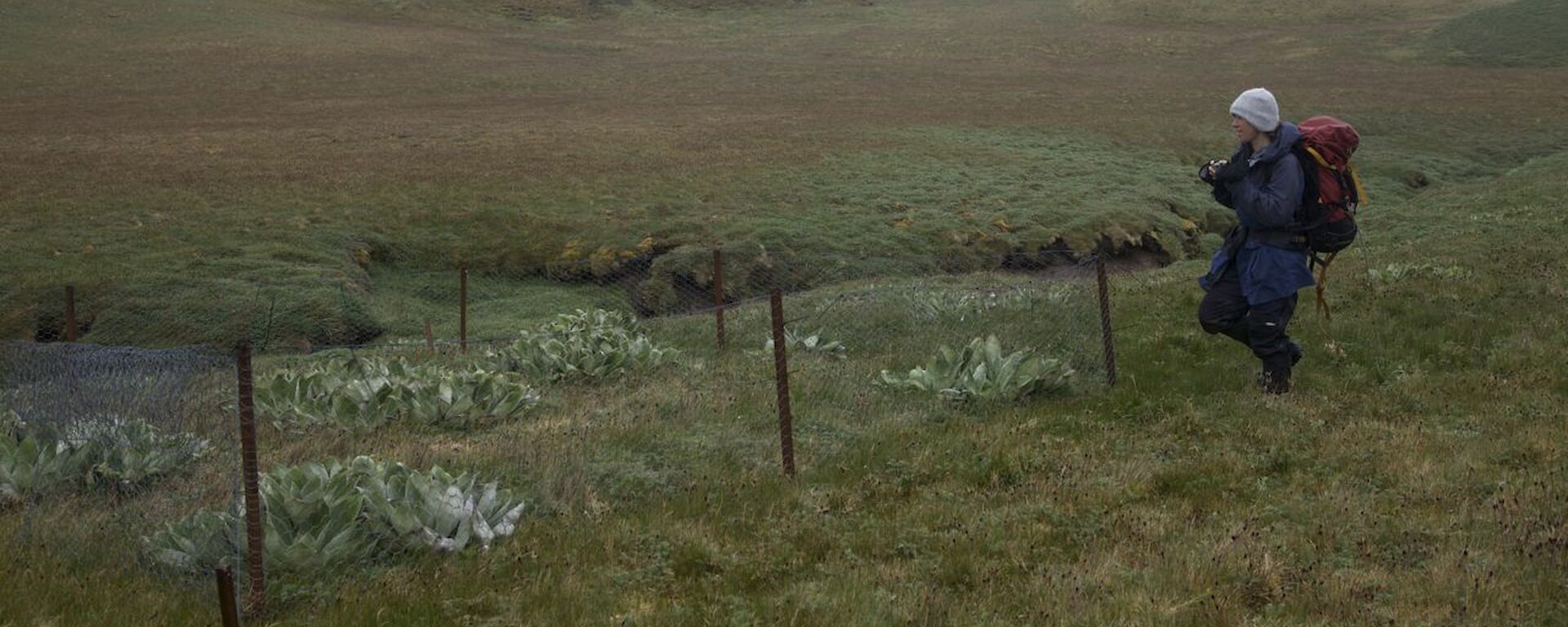 Claudia taking a photo of a rabbit exclosure