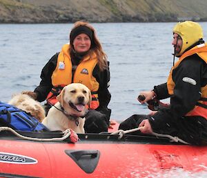 Nancye and her dog Finn caught a lift down the island with Leon and Mark
