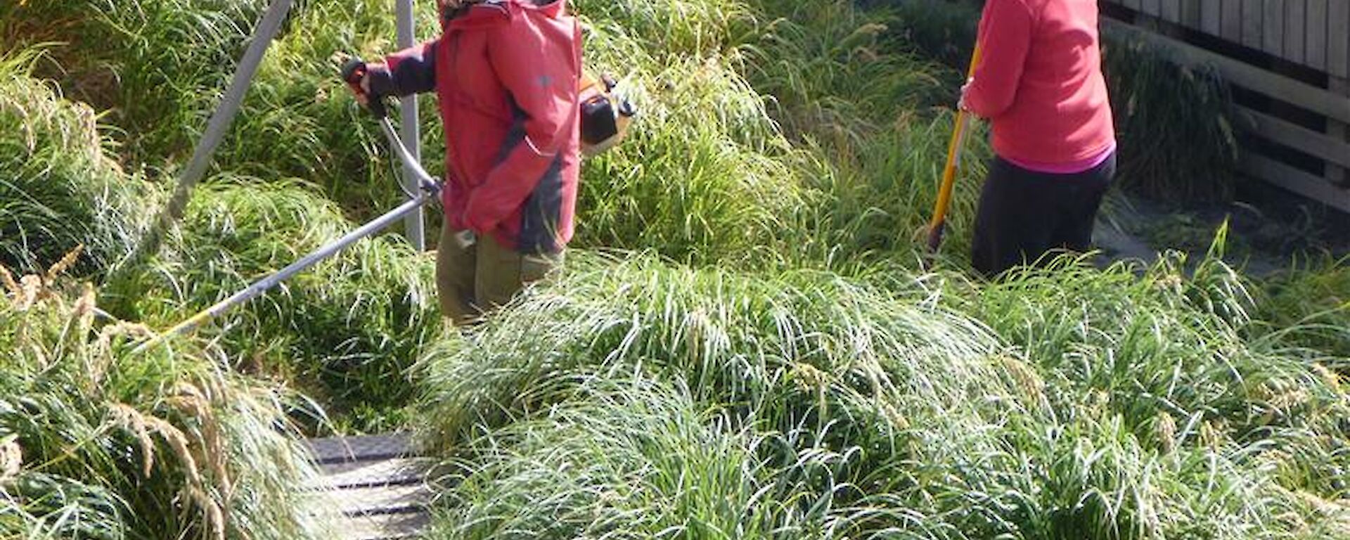 Starting out — lots of grass to cut to get those paths clear