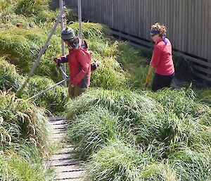 Starting out — lots of grass to cut to get those paths clear