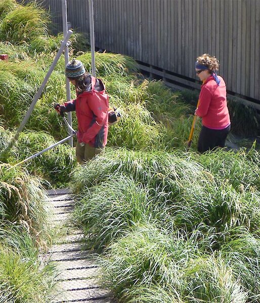 Starting out — lots of grass to cut to get those paths clear