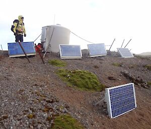 The solar farm at Mt Jeffryes