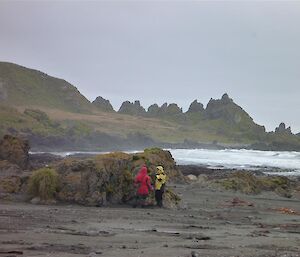 On the west coast with Mawson Point in the background