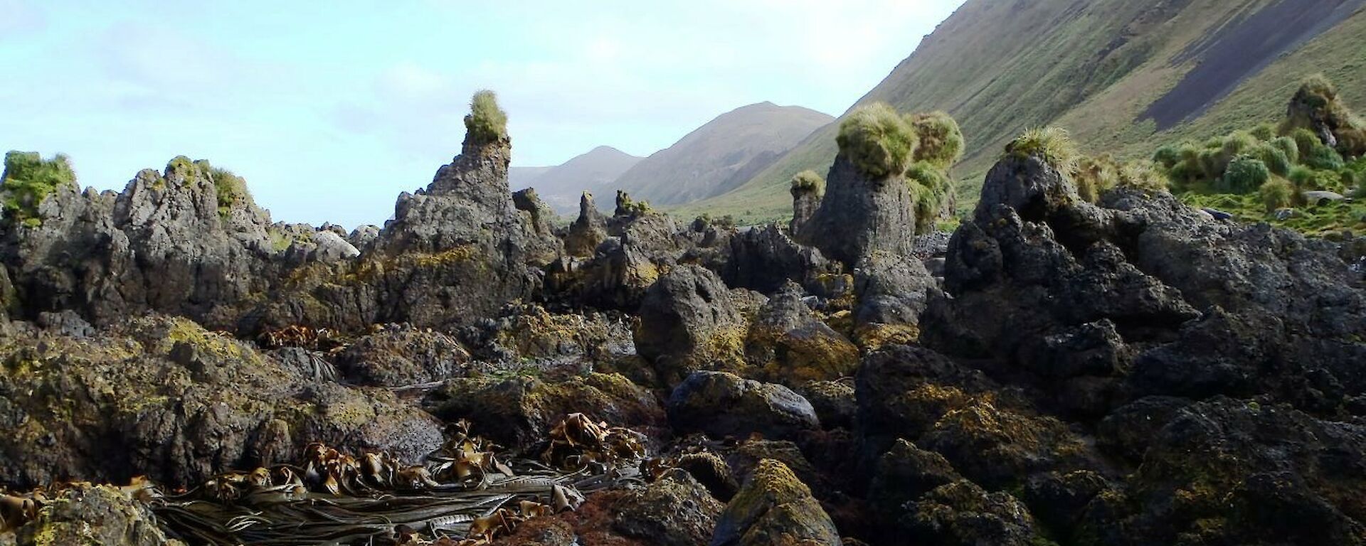 Difficult rocky coast line that needed to be searched