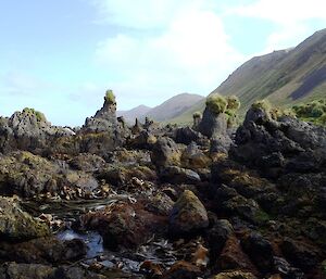 Difficult rocky coast line that needed to be searched