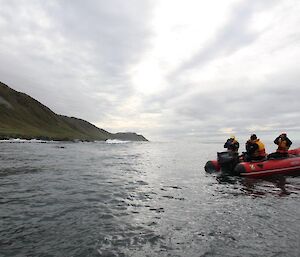 Expeditioners in a rubber boat off the coast of Macquarie Island