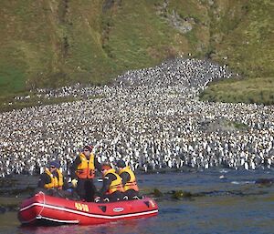 King Penguins at Lusitania Bay