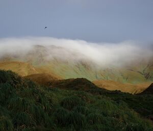 Mist cloud over the top of the green landscape.