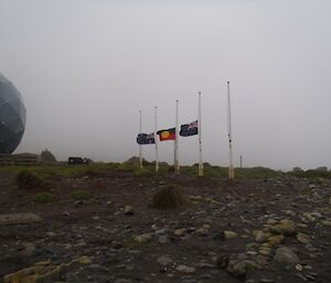 The flags at half mast on Anzac Day