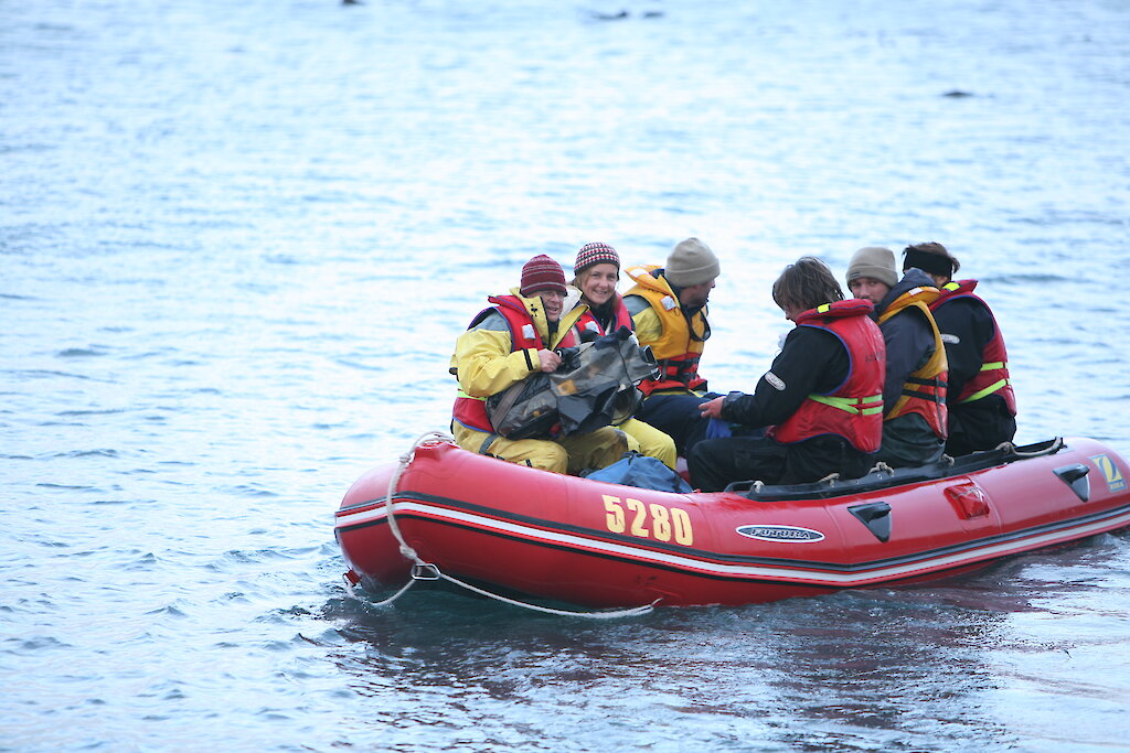 This week at Macquarie Island: 4 May 2012 — Australian ...
