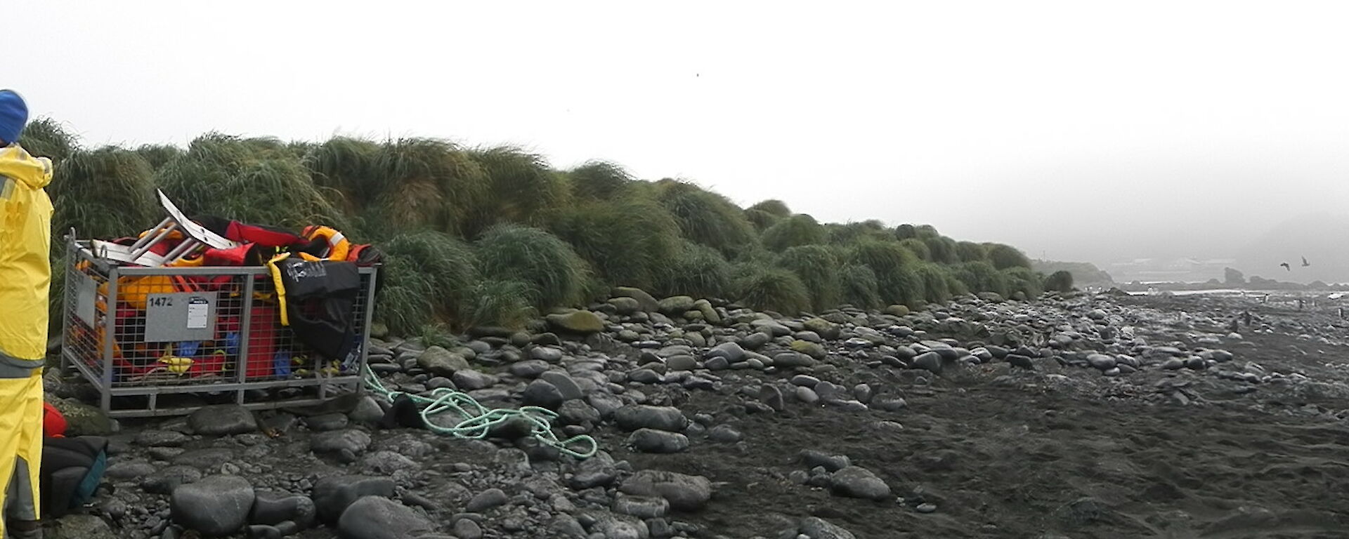 On the beach at Macquarie Island