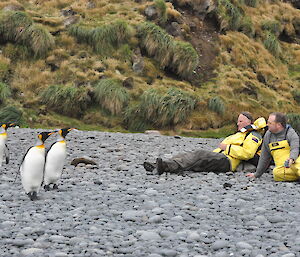Expeditioners sit on rock beach with penguins nearby