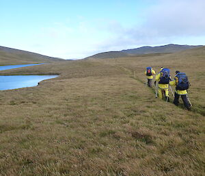 On the plateau