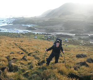 Expeditioner with poles and pack climbing up grassy slop on Macquarie Island