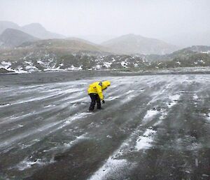 Collecting marine debris and recording findings