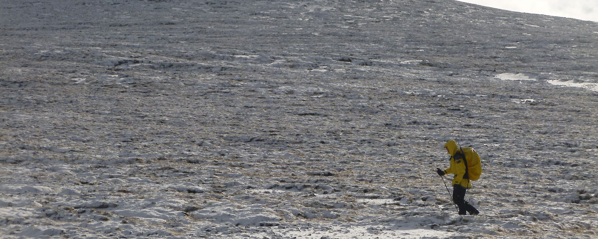 Expeditioner walking across a snow covered section of Macquarie Island