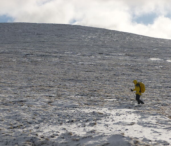 Expeditioner walking across a snow covered section of Macquarie Island