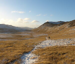 Jane with the dogs barely visible in landscape shot of a valley