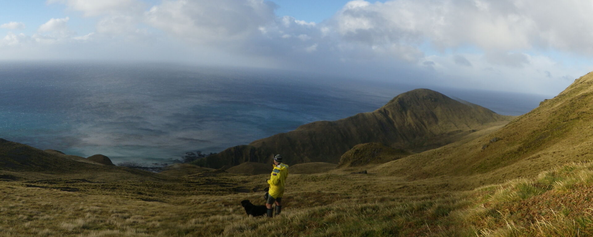 A panaroma shot of Macquarie Island landscape with expeditioner