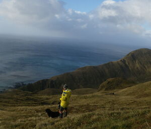 A panaroma shot of Macquarie Island landscape with expeditioner