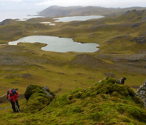 Cam in search of rabbits with green landscape and small lakes in background