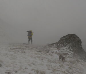 Expeditioner and dog pictured in blizzard making their way back to station