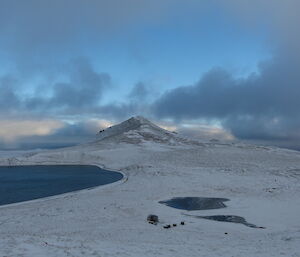 Windy Ridge Hut looks small surrounded by a snowy landscape with mountain in background