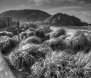 A black and white perspective shot of Macquarie Island Station