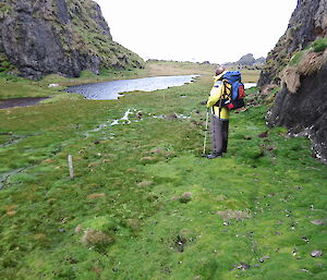 Col exploring the featherbeds surrounded by green and framed by high rocky structures. Looks very prehistoric